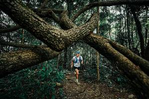 BIB: 
                            <button type="button" onclick="openModal(25665229)" class="btn btn-primary btn-sm float-right btn-popup" data-toggle="modal" data-target=".modal-high-quality">
                        <i class="fas fa-shopping-cart"></i> Add to Cart
                    </button>
                                            <button type="button" onclick="isThisMe(25665229, true)" class="btn btn-success btn-sm float-right btn-popup btn-isme hidden" data-toggle="tooltip" data-placement="bottom" title="นี่คือรูปของคุณใช่ไหม คลิกที่นี่เพื่อเอาเข้าอัลบั้ม">
                        <i class="fas fa-plus"></i> Add to album
                    </button>
                    <button type="button" onclick="isThisMe(25665229, false)" class="btn btn-warning btn-sm float-right btn-popup btn-isnotme hidden">
                        <i class="fas fa-ban"></i> Remove from album
                    </button>